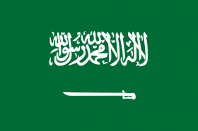 Saudi Arabia Executive Coaching