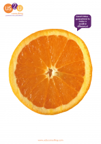 I Wanna Be Orange